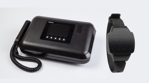 Home/Facility Detention